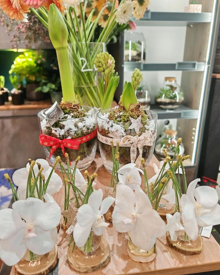 Noël / Fêtes de fin d'année - Image 6