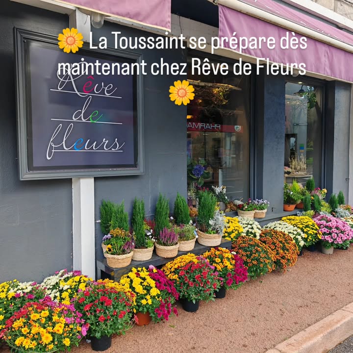 La Toussaint se prépare dès maintenant chez Rêve de...