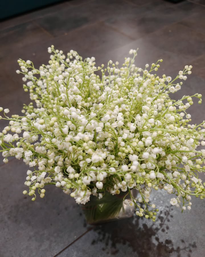 Le muguet est arrivé chez Rêve de Fleurs  Le...