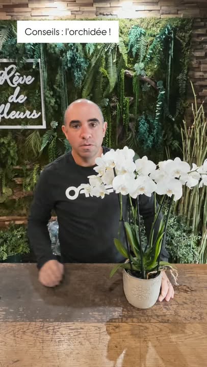Vos orchidées méritent toute votre attention !  Vous...